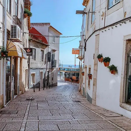 Casa Amigavel Da Terra *